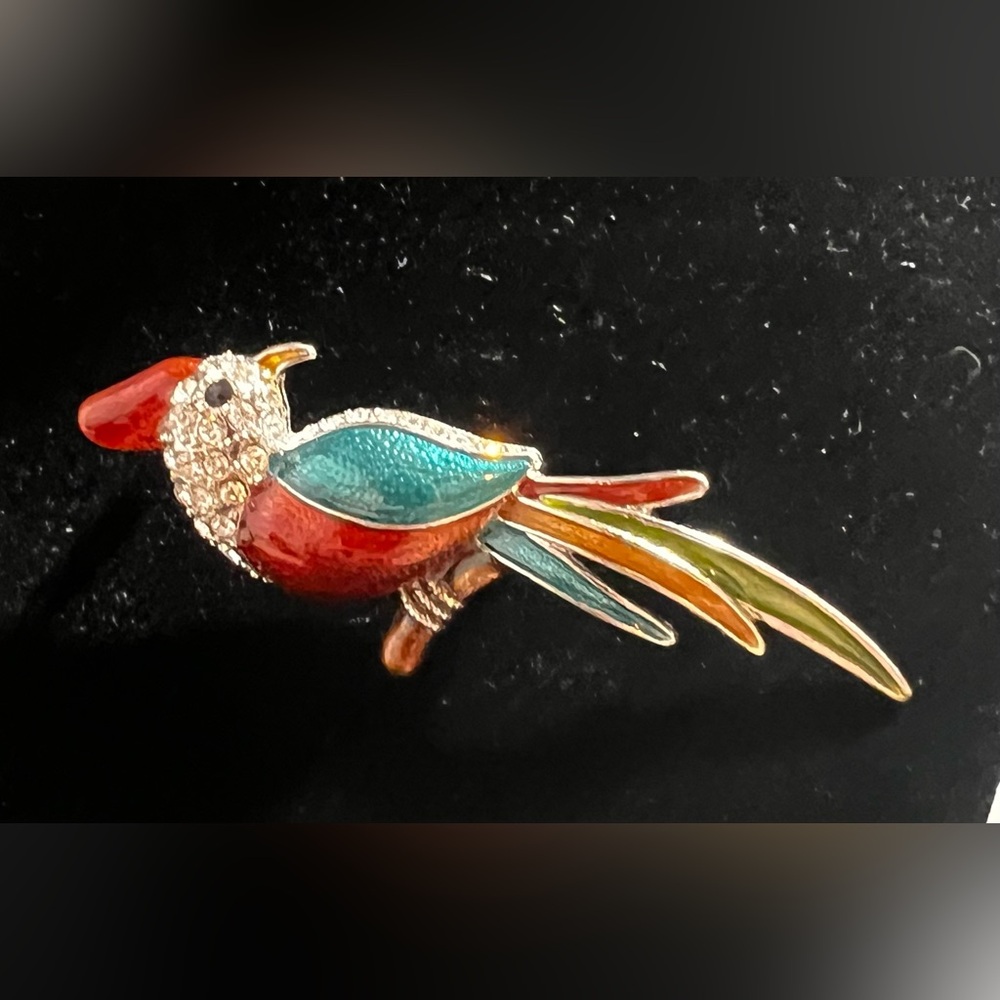 Colorful Parrot Bird Brooch